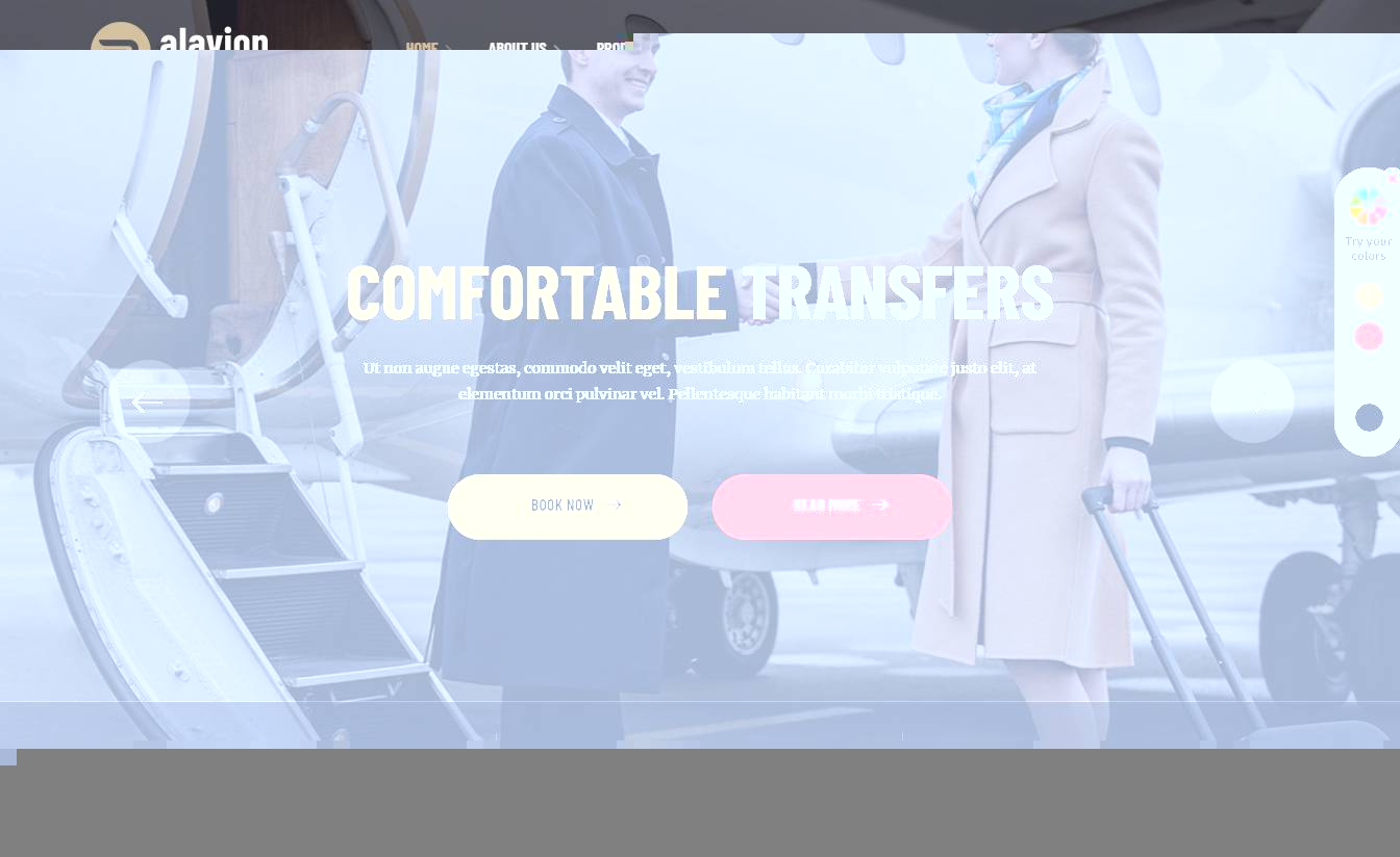Alavion - Private Jet Charters WordPress Theme
