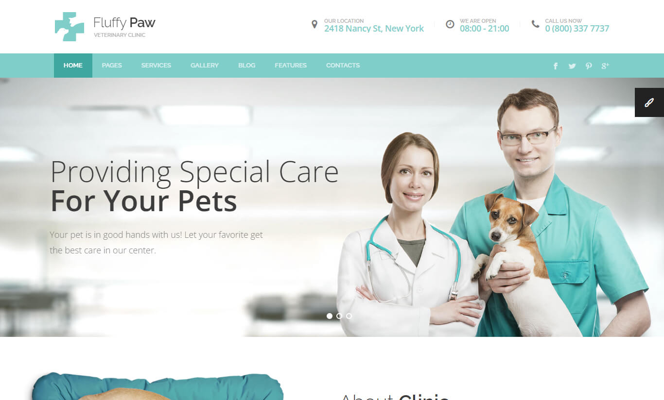 FluffyPaw - Pet Care and Veterinary HTML Template with Visual Page Builder