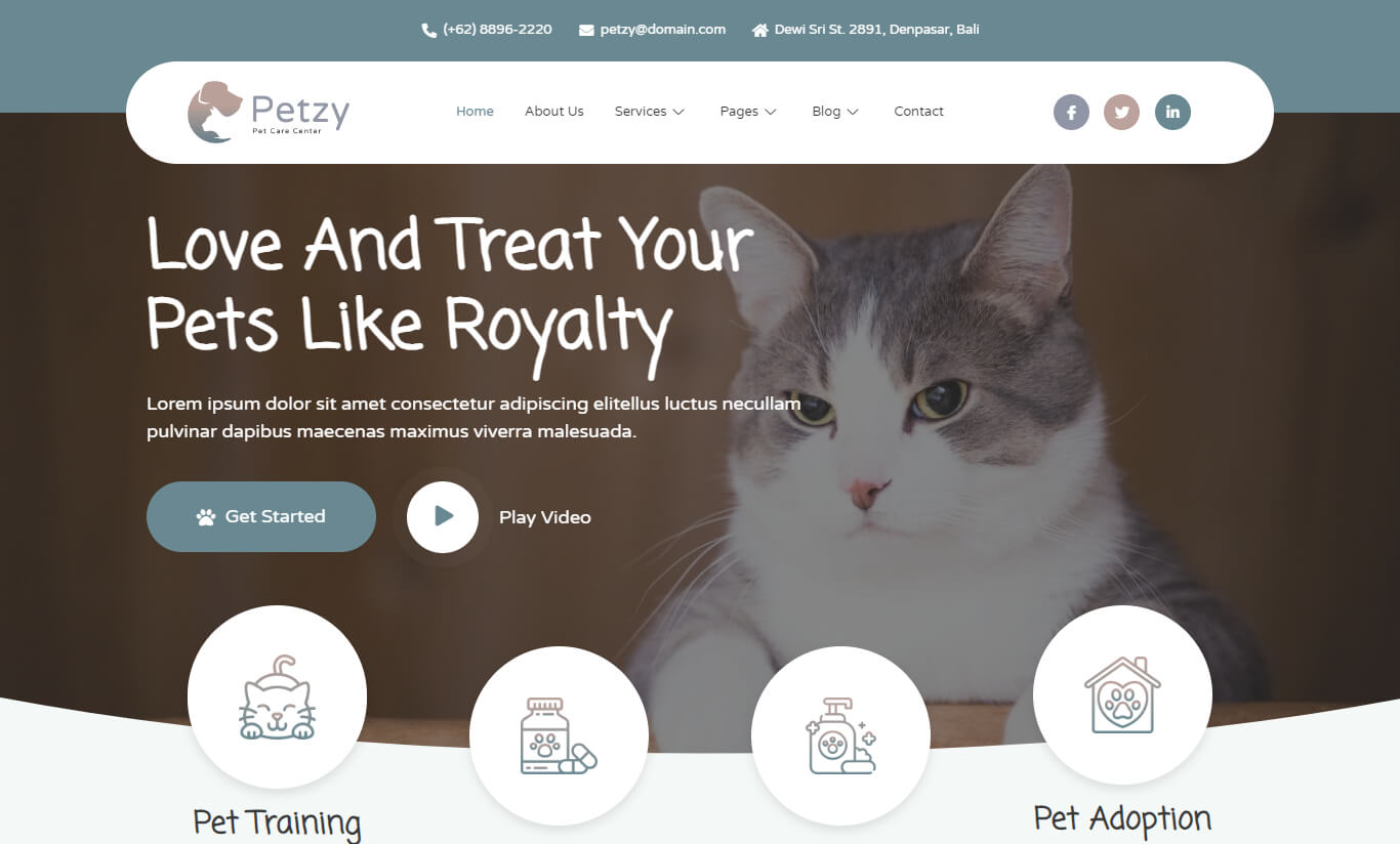 Petzy – Pet Care & Veterinary Elementor Template Kit