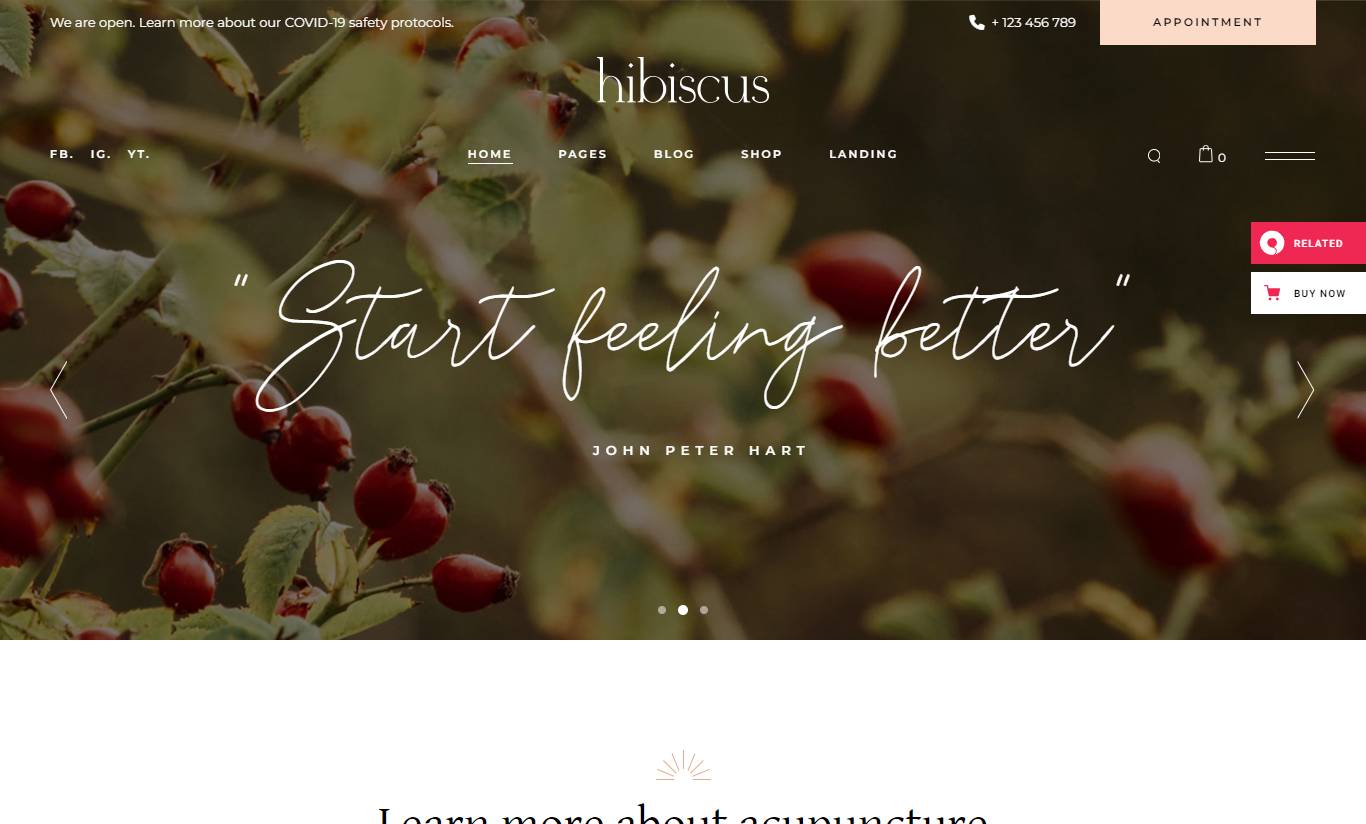 Hibiscus - Alternative Medicine and Organic Shop Theme