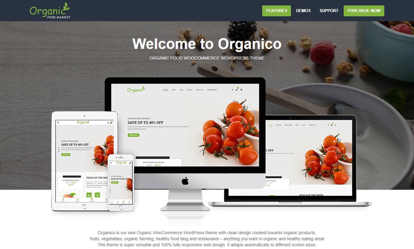 Organik - Organic Food WordPress Theme