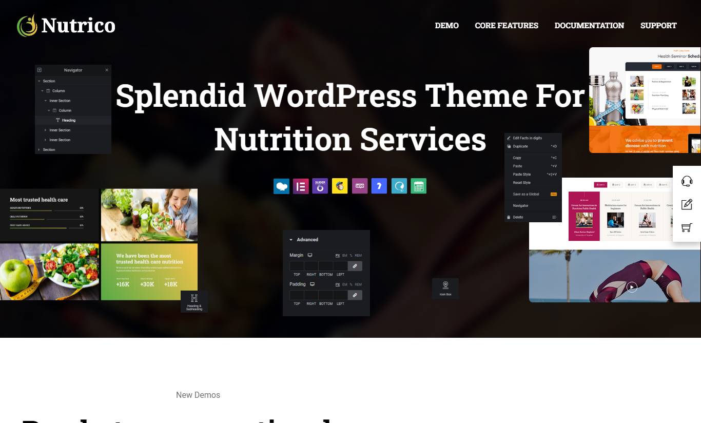  Nutrico - Nutrition Health Services WordPress Theme 