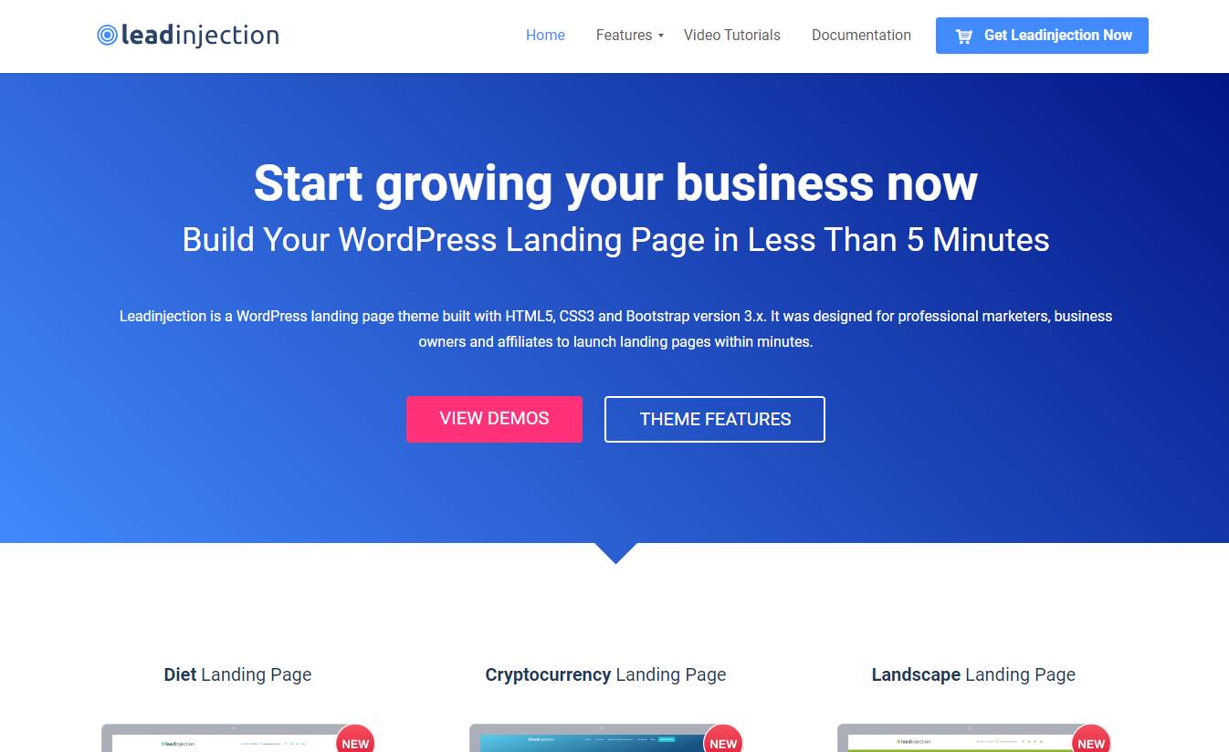 Leadinjection - Landing Page Theme