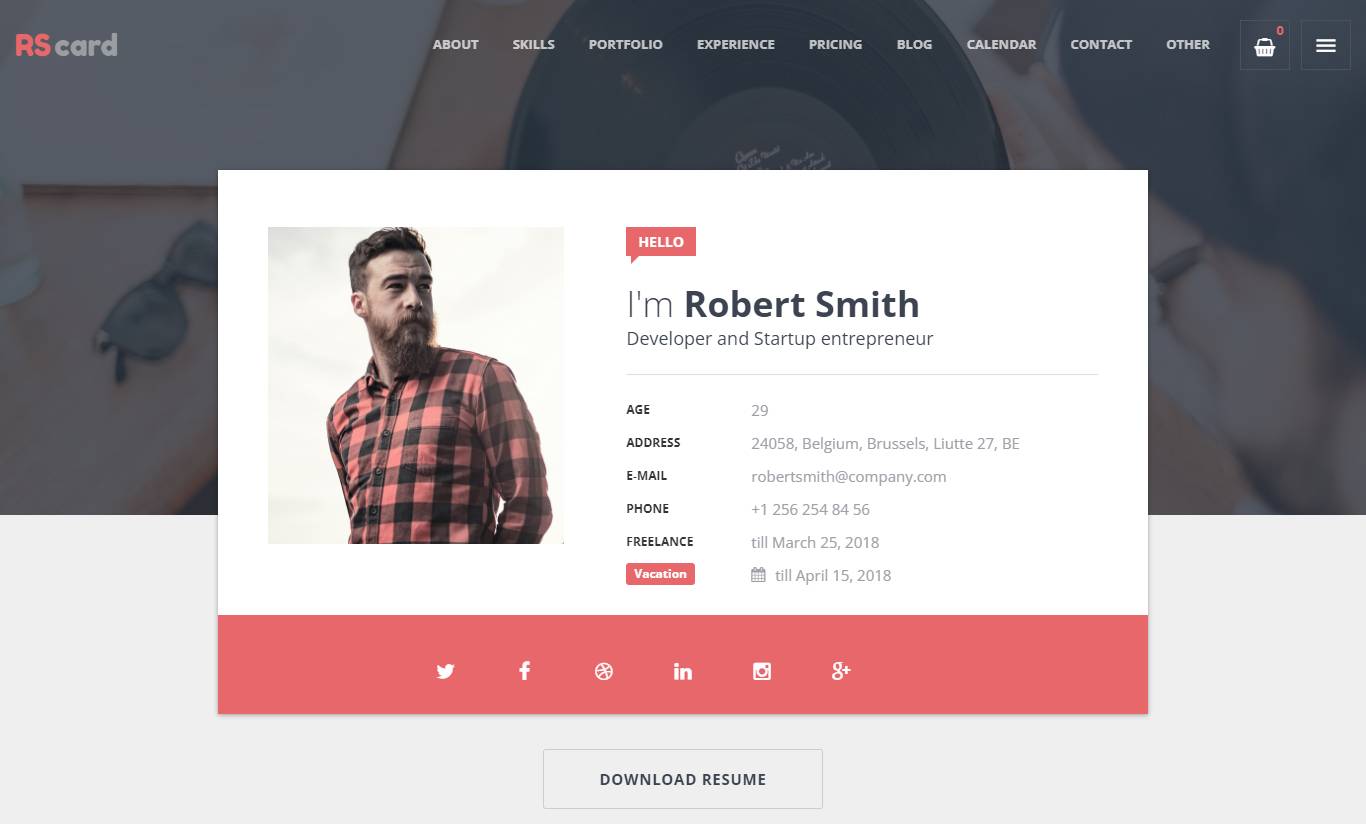 Resume & CV WordPress Theme