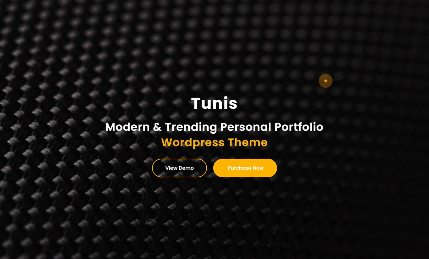 Tunis - Personal Portfolio & Resume Theme