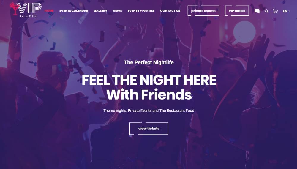 Top 17 WordPress Nightclub Themes