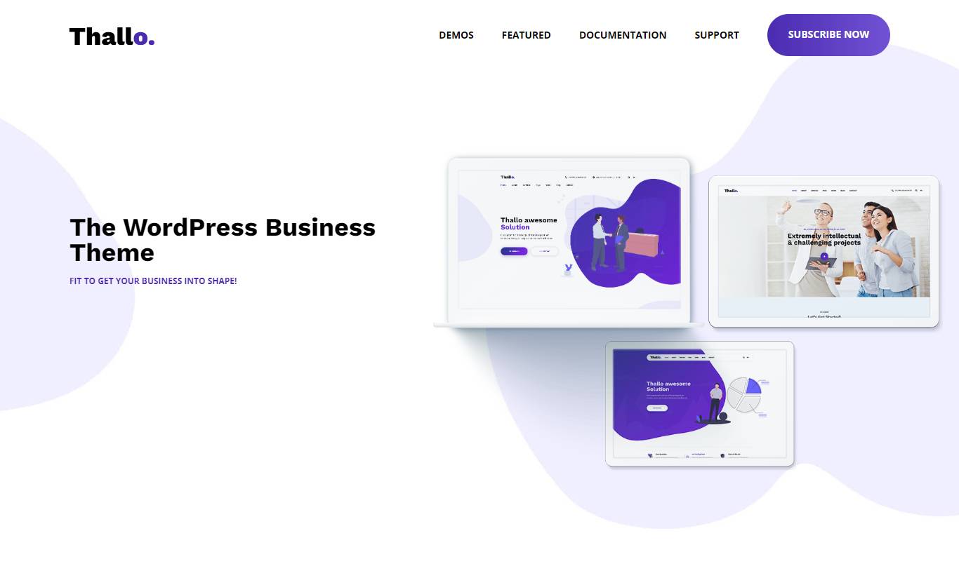 Thallo – Consulting & Finance WordPress Theme