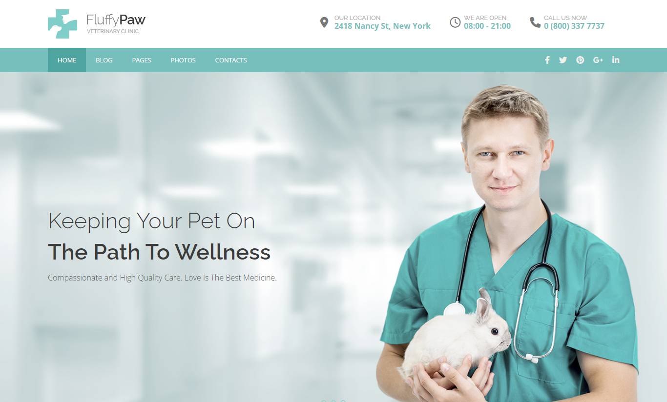 FluffyPaw - WordPress Theme for Veterinary Clinic & Pet Care Center