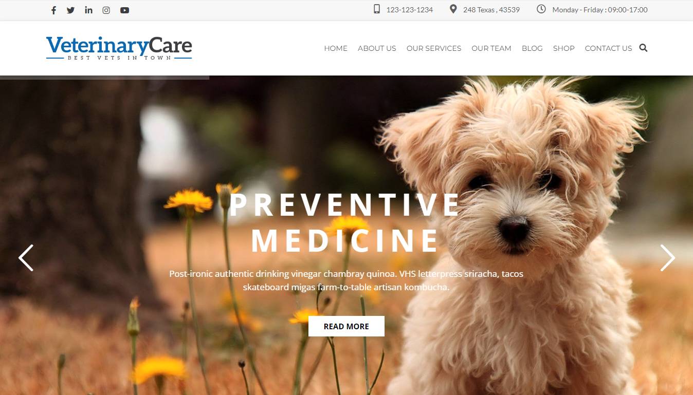 VetBox - Veterinary & Pet Care WordPress Theme