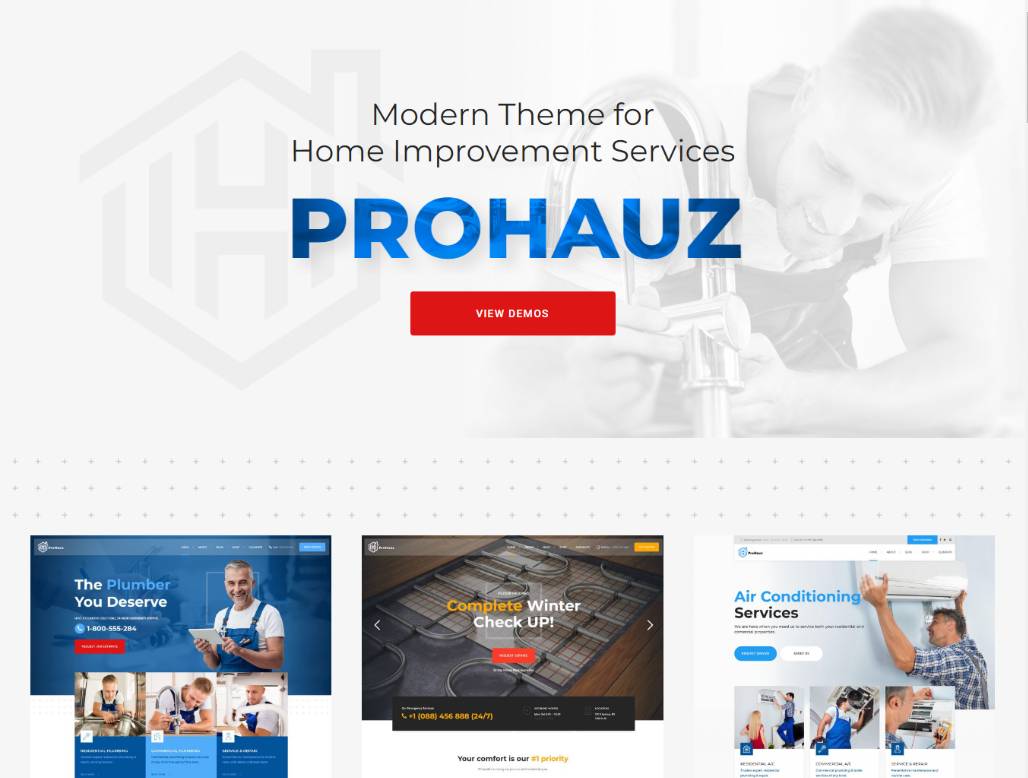 ProHauz – Handyman & Plumber