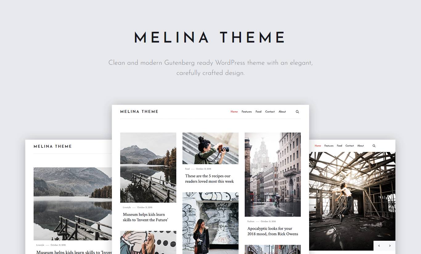 Melina - Personal Blog & Magazine WordPress Theme