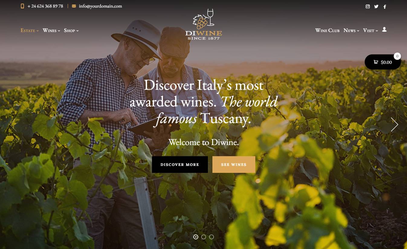 Diwine - Winery & Wine Shop, Vineyard WordPress Theme