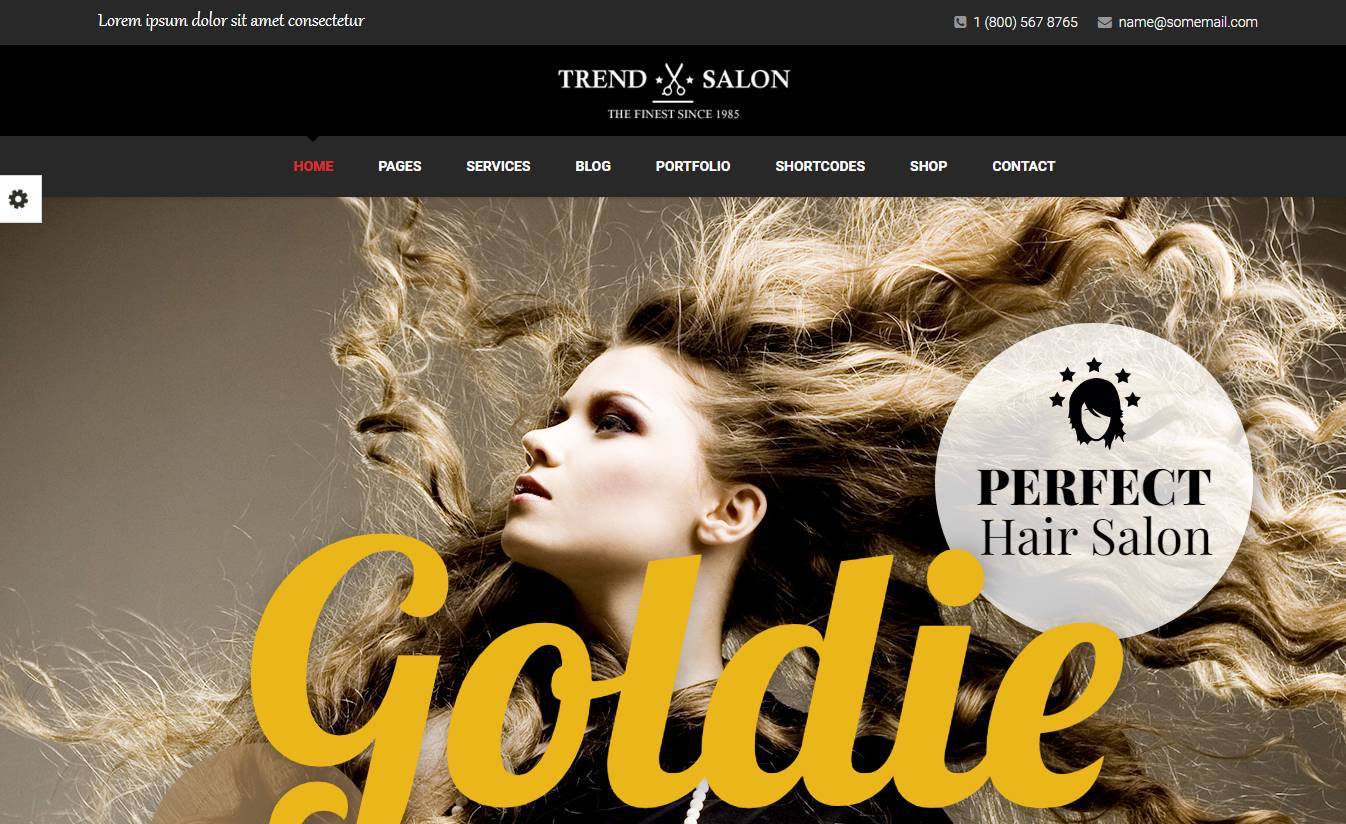 Trend Salon WordPress Theme