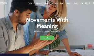 Best Sold 9 Consulting WordPress Themes